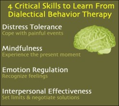 dbt-skills