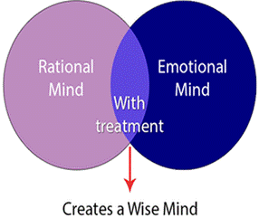 Ven diagram 1 Wise Mind