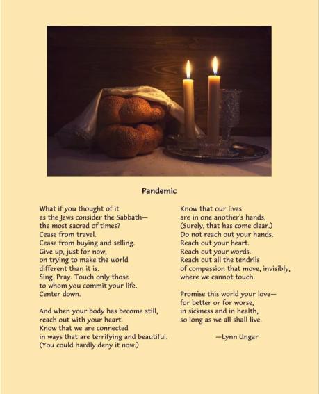 Lynn Unger poem PANDEMIC